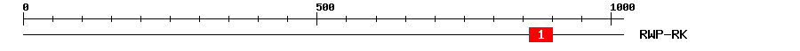 Signature Domain