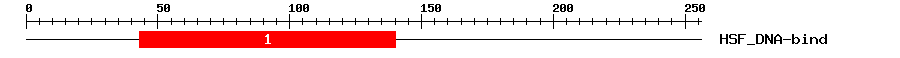 Signature Domain