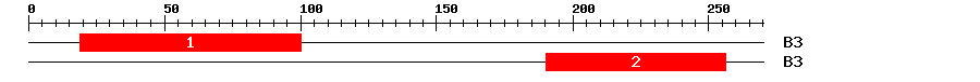 Signature Domain