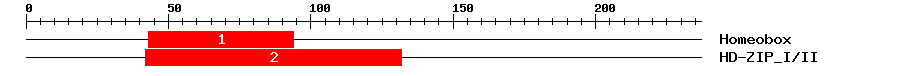 Signature Domain