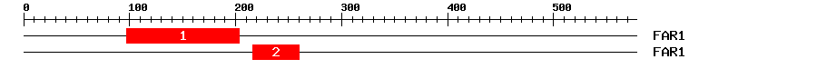 Signature Domain