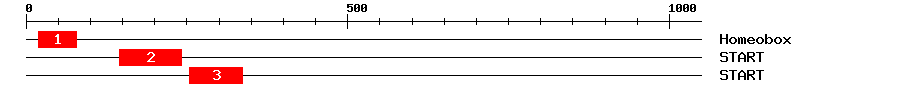 Signature Domain