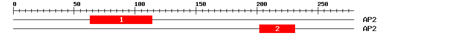Signature Domain