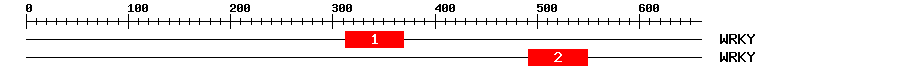Signature Domain