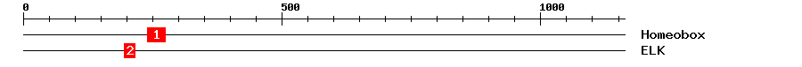 Signature Domain