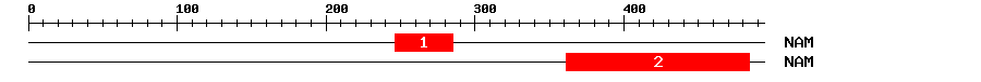 Signature Domain