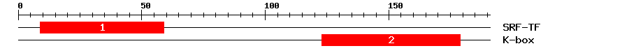 Signature Domain
