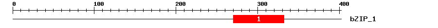 Signature Domain