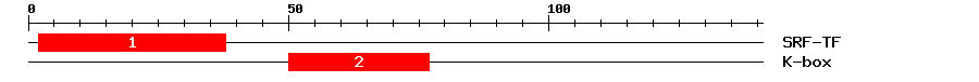 Signature Domain