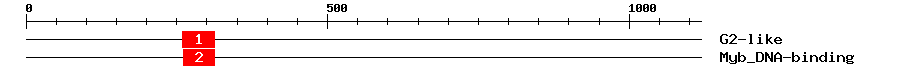 Signature Domain