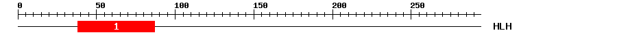 Signature Domain