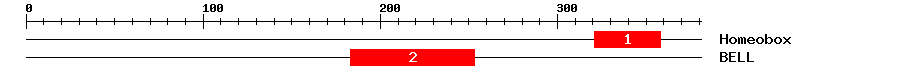 Signature Domain