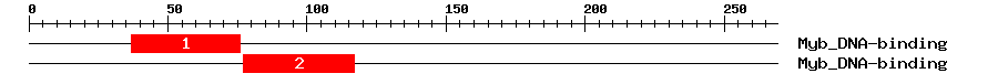 Signature Domain