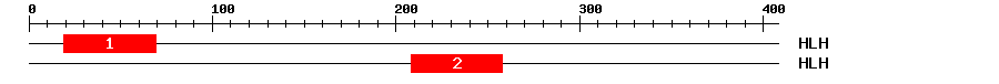 Signature Domain