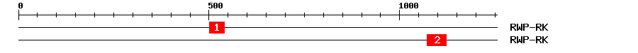 Signature Domain