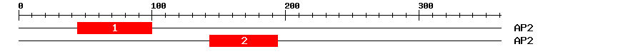 Signature Domain