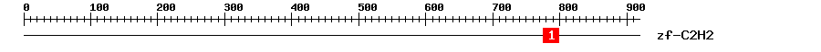 Signature Domain