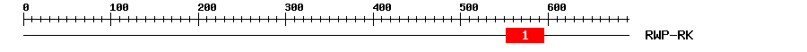 Signature Domain