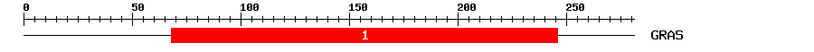 Signature Domain