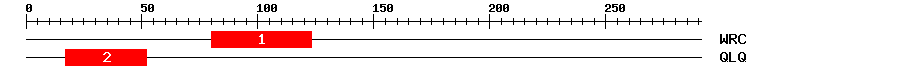 Signature Domain