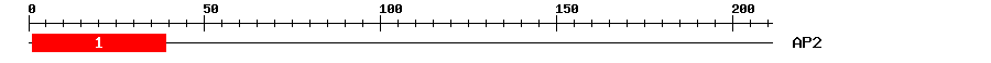 Signature Domain