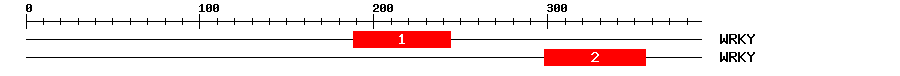 Signature Domain