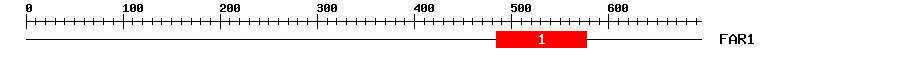 Signature Domain