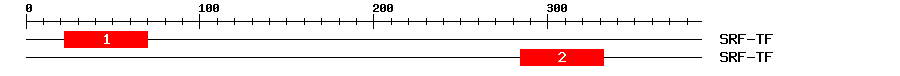 Signature Domain