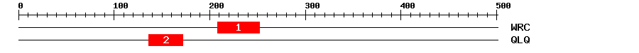 Signature Domain