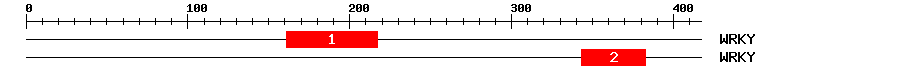 Signature Domain