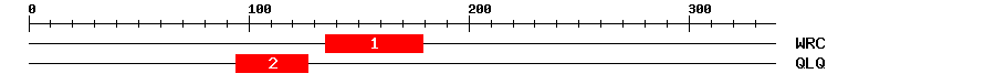 Signature Domain