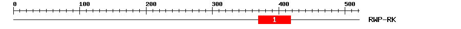 Signature Domain