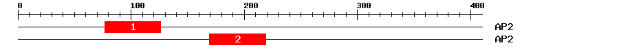Signature Domain
