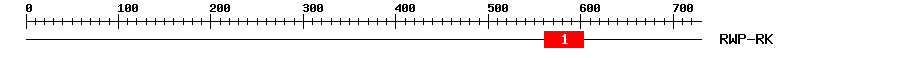 Signature Domain