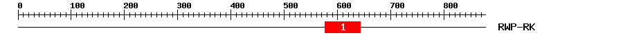 Signature Domain