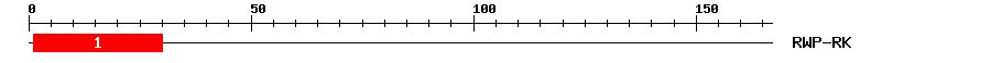 Signature Domain