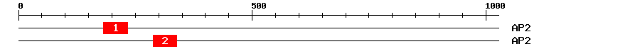 Signature Domain