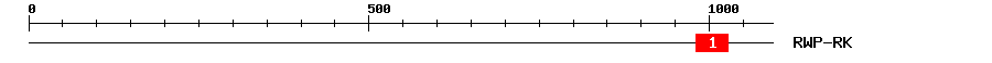 Signature Domain