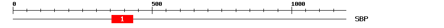 Signature Domain