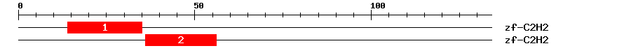 Signature Domain
