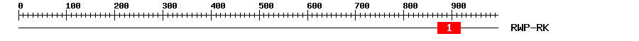 Signature Domain