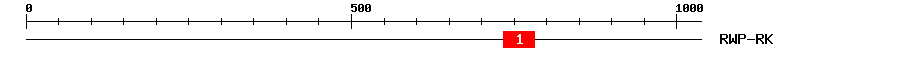 Signature Domain