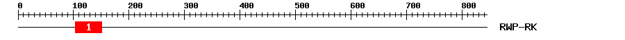 Signature Domain