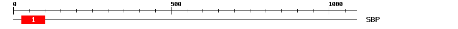 Signature Domain