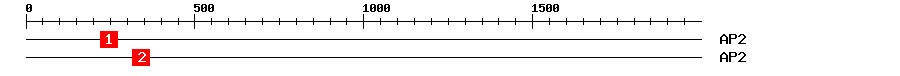 Signature Domain