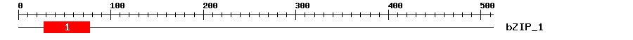 Signature Domain