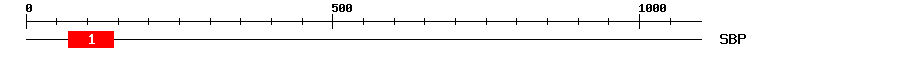 Signature Domain