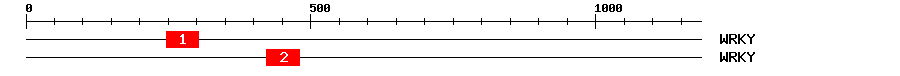 Signature Domain