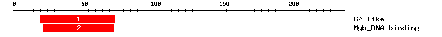 Signature Domain