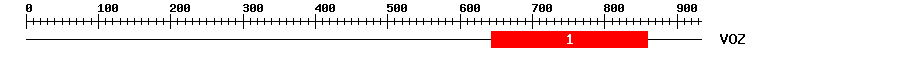 Signature Domain